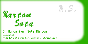 marton sota business card